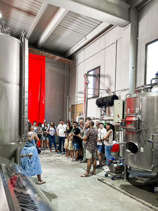 VISITA A FÁBRICA SANFRUTOS - Cerveza SanFrutos