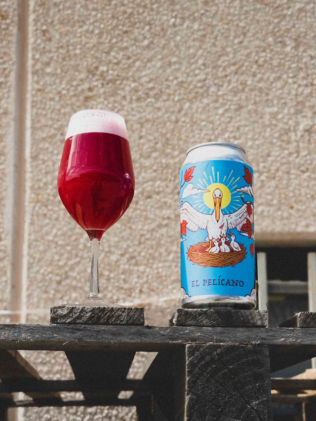 EL PELÍCANO - Imperial Fruit Gose - Cerveza SanFrutos