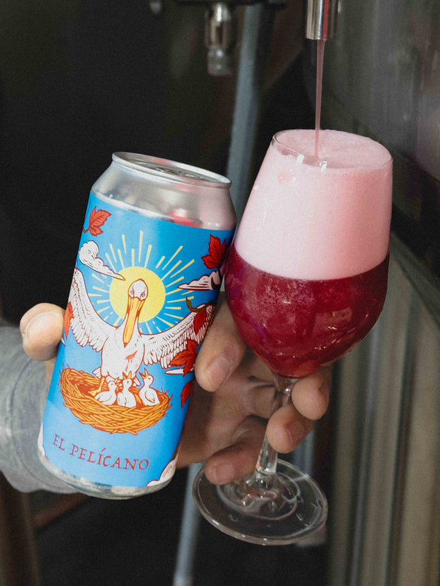EL PELÍCANO - Imperial Fruit Gose - Cerveza SanFrutos